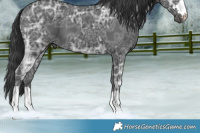 Horse Color:Black Ice 