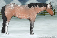 Horse Color:Bay Ice Roan 