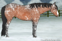 Horse Color:Brown Ice 