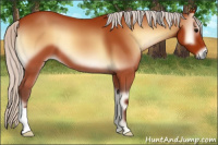 Horse Color:Silver Bay Onyx 