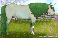 Horse Color:Watercolor Bay 