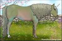 Horse Color:Watercolor Chestnut Sabino 