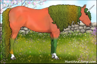 Horse Color:Watercolor Bay 