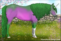 Horse Color:Watercolor Bay 