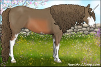 Horse Color:Watercolor Chestnut Sabino 