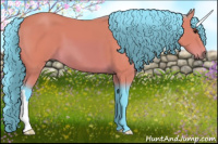 Horse Color:Watercolor Bay 