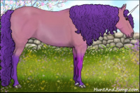 Horse Color:Watercolor Bay 