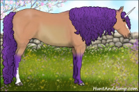 Horse Color:Watercolor Bay 