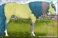 Horse Color:Watercolor Bay Sabino 