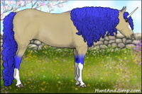 Horse Color:Watercolor Bay 