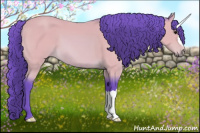 Horse Color:Watercolor Bay 