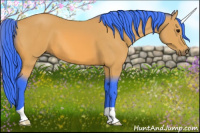 Horse Color:Watercolor Bay 