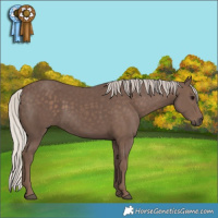 Horse Color:Silver Black 