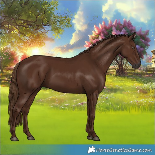 Horse Color:Gray Chestnut 