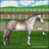 Horse Color:Gray Silver Black Pearl Tobiano 