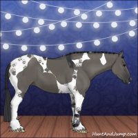 Horse Color:Grullo Tobiano