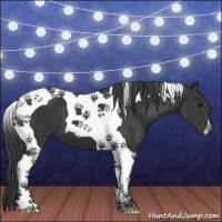 Horse Color:Black Tobiano 