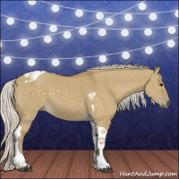 Horse Color:Silver Smoky Grullo Tobiano 