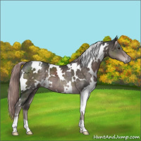 Horse Color:Platinum White Spotted Liver Chestnut 