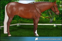 Horse Color:Chocolate Silver Brown 