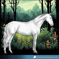 Horse Color:Silver Bay Dun Splash Appaloosa