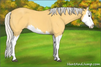 Horse Color:Silver Buckskin Splash 