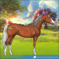 Horse Color:Silver Bay 