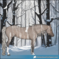 Horse Color:Silver Brown Ice Roan Dun Tobiano 