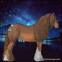 Horse Color:Chestnut Tobiano 
