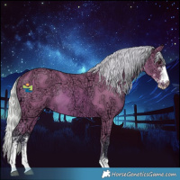 Horse Color:Watercolor Silver Bay Ice Sabino Rabicano 