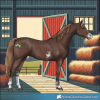 Horse Color:Liver Chestnut Sabino 