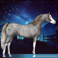 Horse Color:White Spotted Liver Red Roan Splash 