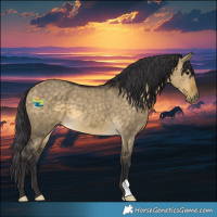 Horse Color:Buckskin Dun 