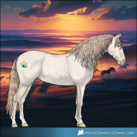 Horse Color:Perlino Roan Dun 