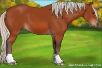 Horse Color:Silver Brown 