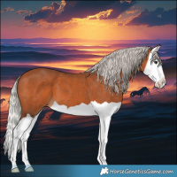Horse Color:Silver Bay Splash 