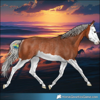 Horse Color:Silver Bay Splash Rabicano 