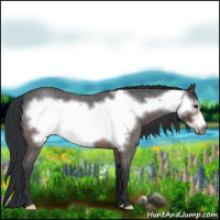 Horse Color:Brown Roan Frame