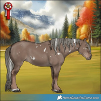 Horse Color:White Spotted Liver Red Dun Mushroom 