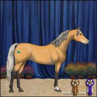 Horse Color:Silver Buckskin Rabicano 