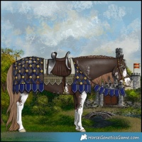 Horse Color:Liver Chestnut Sabino