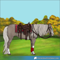 Horse Color:Silver Grullo
