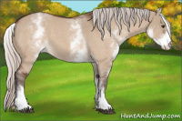 Horse Color:White Spotted Silver Brown Roan Dun 