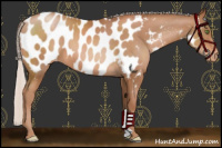 Horse Color:Chocolate Silver Brown Pearl Appaloosa 