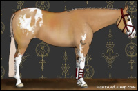 Horse Color:Chocolate Silver Buckskin Dun Sabino Varnish 