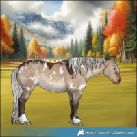 Horse Color:White Spotted Silver Brown Dun 