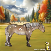 Horse Color:White Spotted Silver Brown Dun 