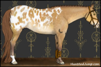 Horse Color:Chocolate Buckskin Blanket 