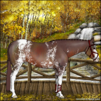 Horse Color:White Spotted Chocolate Brown Varnish 