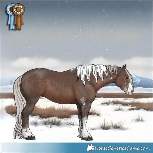 Horse Color:White Spotted Silver Black Tobiano 